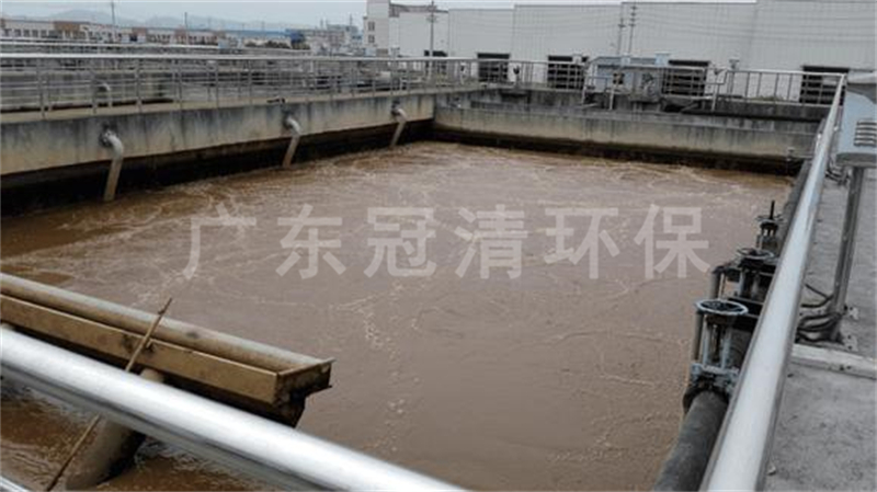 稳定塘处理莲藕加工废水技术